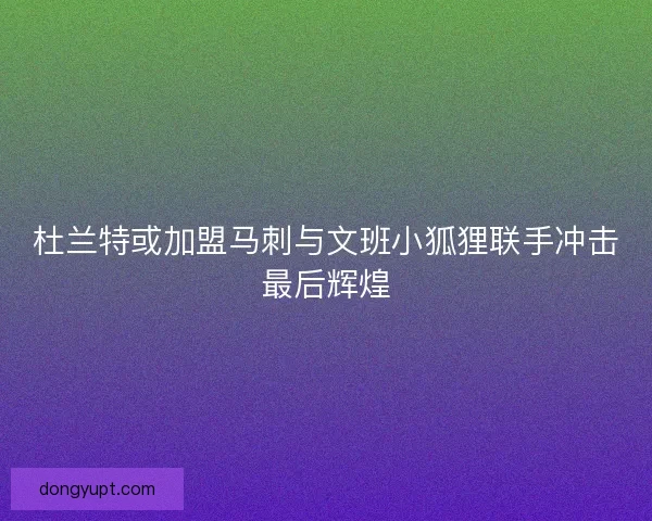 杜兰特或加盟马刺与文班小狐狸联手冲击最后辉煌