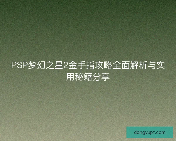 PSP梦幻之星2金手指攻略全面解析与实用秘籍分享